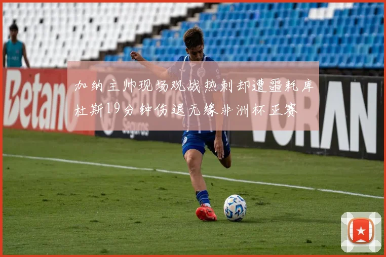 加纳主帅现场观战热刺却遭噩耗库杜斯19分钟伤退无缘非洲杯正赛