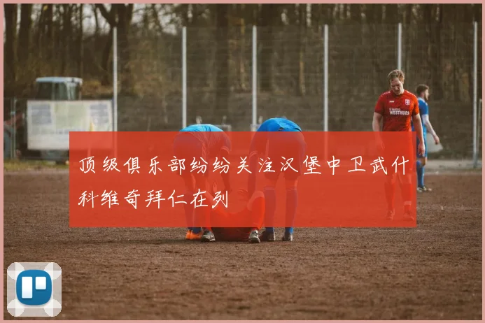 顶级俱乐部纷纷关注汉堡中卫武什科维奇拜仁在列