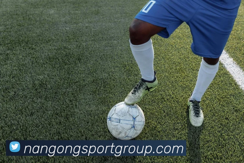 南宫体育平台生态图