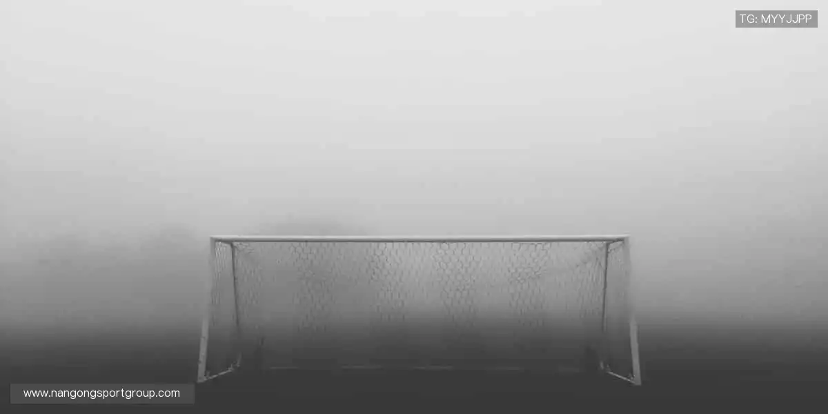 🎯精准数据，深度解析赛事背后的故事！